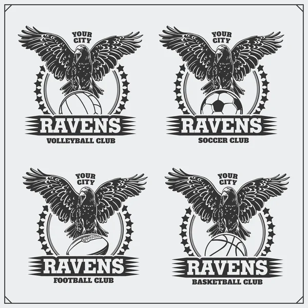 Volleyball, baseball, soccer and football logos and labels. Sport club emblems with raven. — Stock Vector