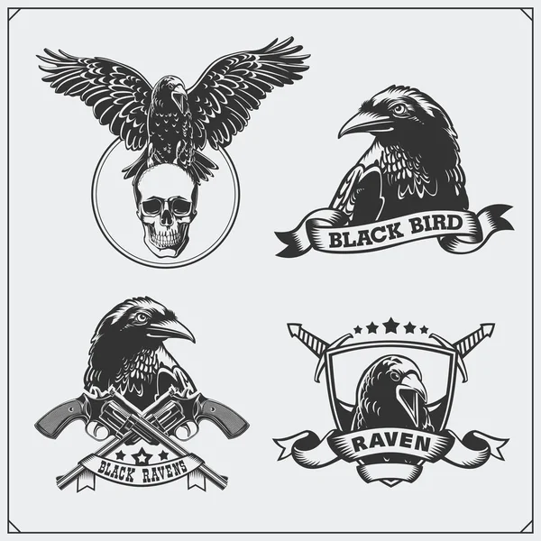 Raven heráldica escudo de armas. Etiquetas, emblemas y elementos de diseño para club deportivo . — Vector de stock