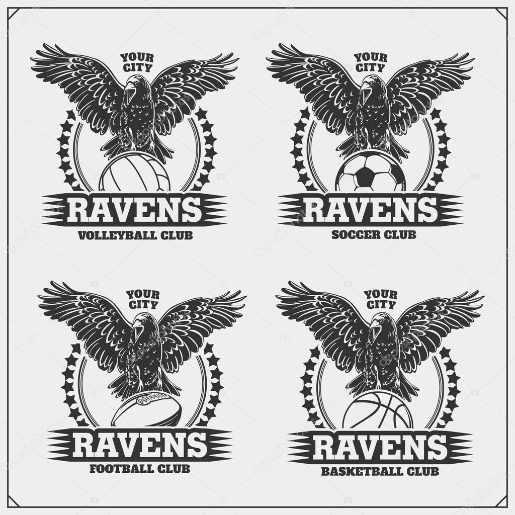 Volleyball, baseball, soccer and football logos and labels. Sport club emblems with raven.