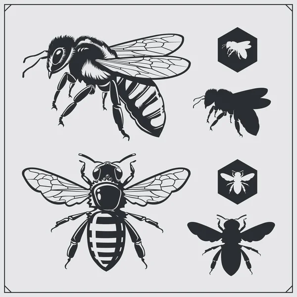 Set of honey emblems and design elements. Honeycombs, bee silhouettes. — Stock Vector