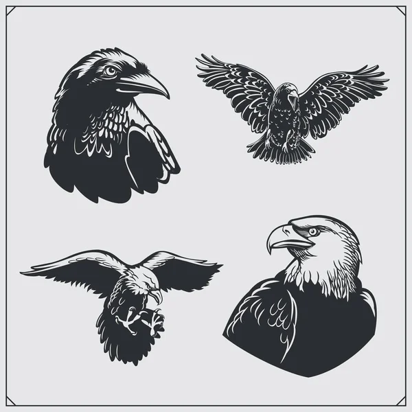 Ensemble d'oiseaux. Corbeaux et aigles . — Image vectorielle