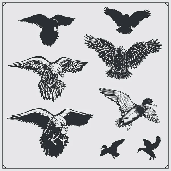 Sada ptáků. Ravens, eagles a kachny. — Stockový vektor