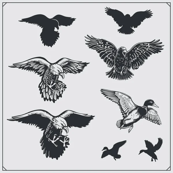 Set of birds. Ravens, eagles and ducks. Royalty Free Stock Illustrations