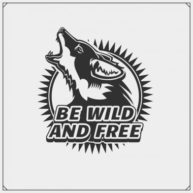 Çakal bir spor takımı ile amblemi.