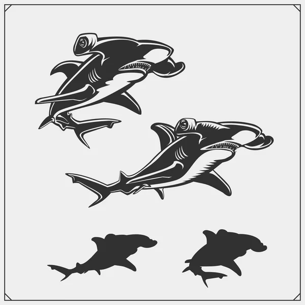 Векторный набор акул-молотов . — стоковый вектор