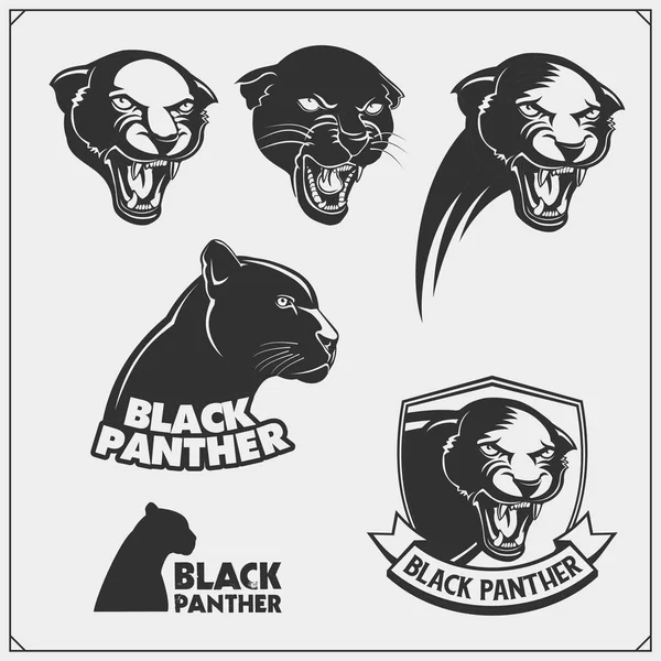 Etiketter, emblem och designelement för sport club med panther. — Stock vektor
