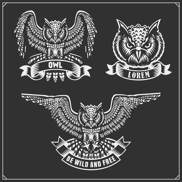 Los emblemas con búho con alas abiertas . — Archivo Imágenes Vectoriales