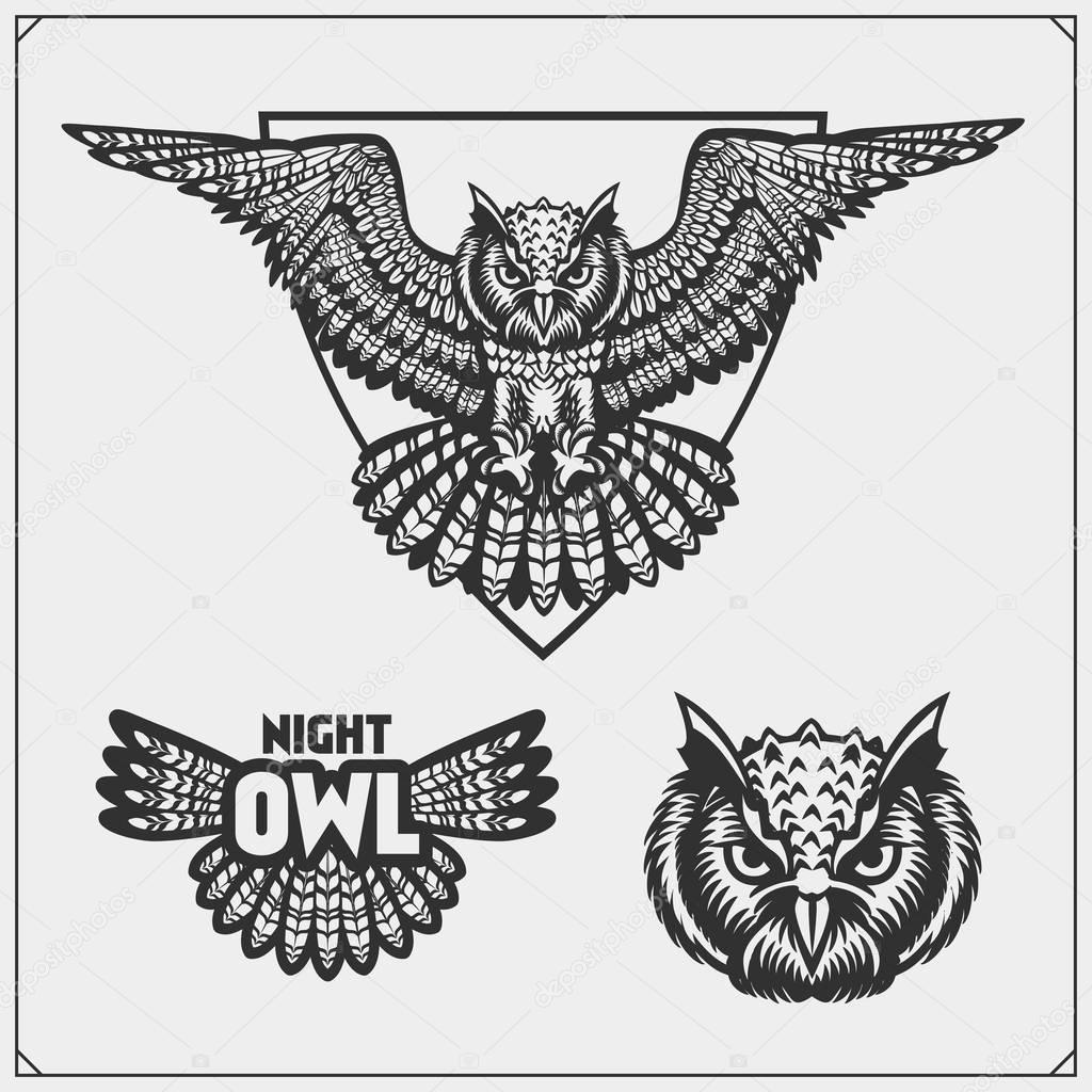 The emblems with owl with open wings. Vector.