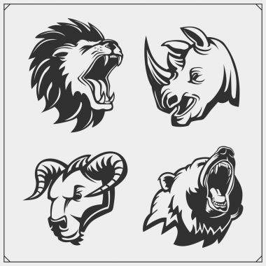 Aslan, Gergedan, ayı ve boğa başları kümesi.