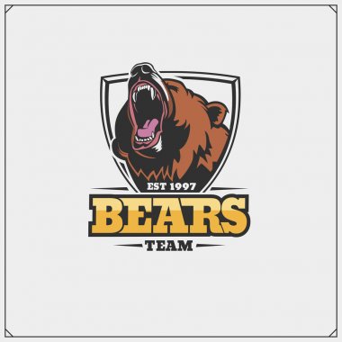 Ayı bir spor takımı ile amblemi.