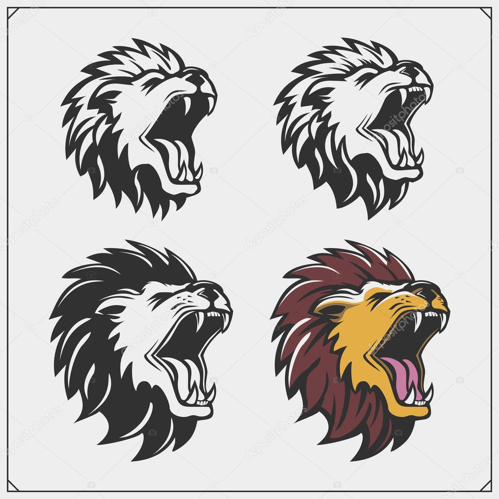 Set of lion heads.