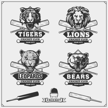 Kriket Kulübü Amblemler, etiketleri, rozetleri ve tasarım öğeleri kümesi.