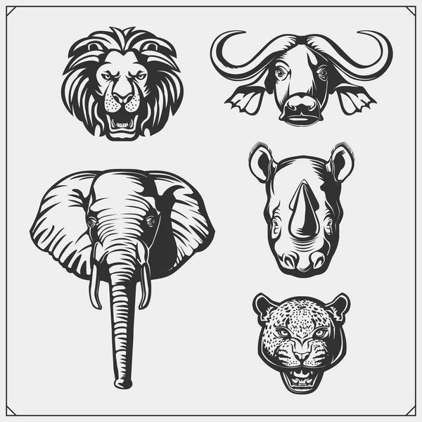 Conjunto Cinco Animales Grandes León Elefante Rinoceronte Leopardo Búfalo — Vector de stock