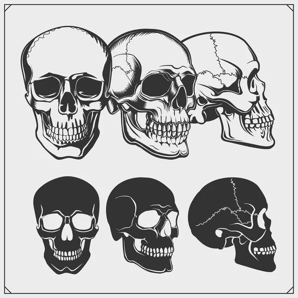 Conjunto Emblemas Skull Diseño Impresión Para Camiseta — Archivo Imágenes Vectoriales