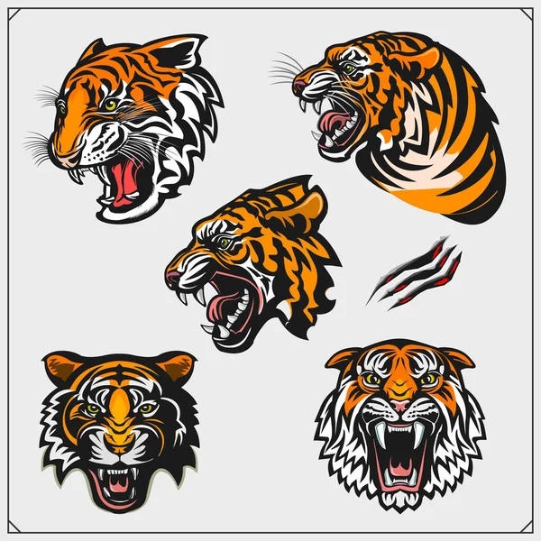 Set Angry Tiger Heads Print Design Shirt Tattoo Sport Club — Stock Vector