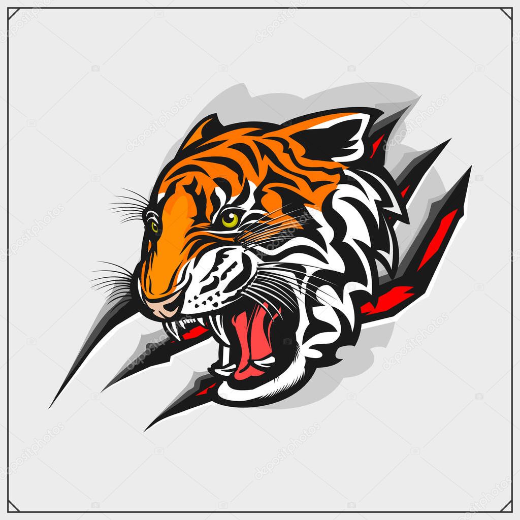 The emblem with tiger for a sport team. Print design for t-shirt.