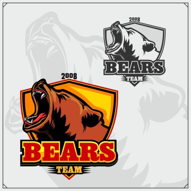 Ayılı spor kulübü için etiket, amblem ve tasarım unsurları. Tişörtler için baskı tasarımı.