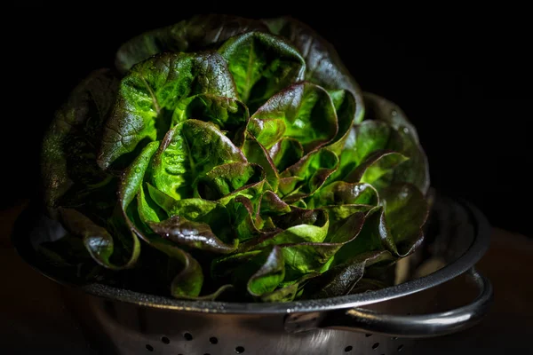 Fresh red butter lettuce in a colander