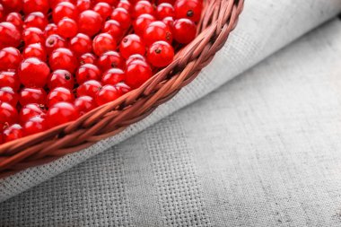 Kahverengi bir sepet içinde kırmızı kuş üzümü close-up. Frenk üzümü bezle gri bir parçası üzerinde ışık sandık. Sağlıklı kahvaltı için lezzetli geçerli.