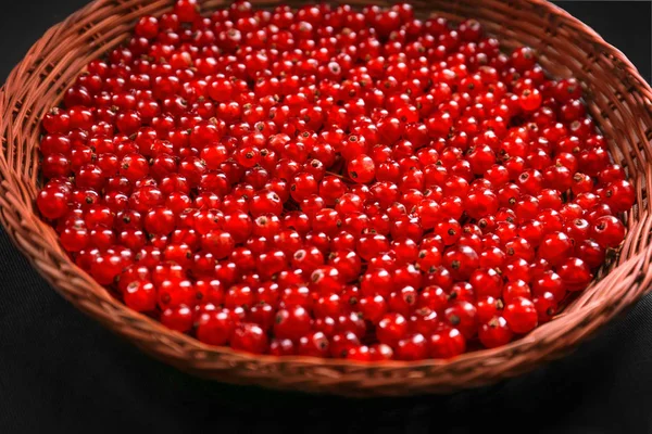 Rohe rote Johannisbeere auf schwarzem Hintergrund in Nahaufnahme. leckere rote Beeren in einem Holzkorb. Bio-Beeren zum veganen Frühstück. — Stockfoto