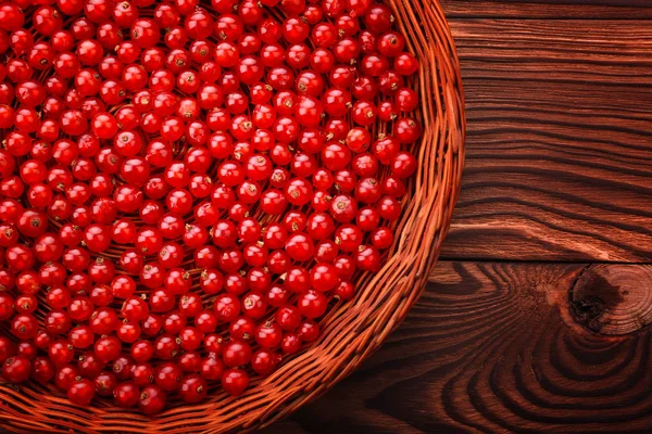 Bir makro ışık sepet kırmızı kuş üzümü ile dolu. Koyu ahşap arka plan üzerinde taze zevkli Frenk üzümü. Parlak kırmızı RIP Frenk üzümü.