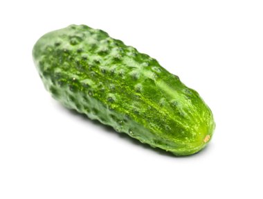 Taze salatalık, beyaz arka plan üzerinde izole. Yaz hasat. Bütünleşmiş, olgun ve parlak yeşil salatalık.