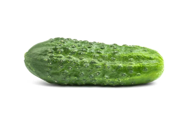 Groene komkommer plantaardige, geïsoleerde op witte achtergrond. Verse komkommer. Zomer harvest. — Stockfoto