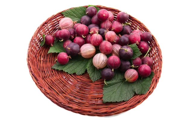 Un panier en bois brun rempli de délicieuses groseilles à maquereau multicolores avec de belles feuilles vertes, isolées sur un fond blanc. Savoureux, mature et parfaitement groseille à maquereau . — Photo