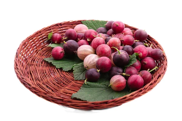 Uma cesta de madeira marrom com groselhas e folhas multicoloridas, isolada em um fundo branco. Bagas rosa coloridas cheias de vitaminas nutritivas. Close-up groselhas saudáveis e frescas . — Fotografia de Stock