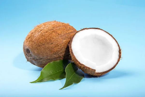 En närbild klipp kokosnötter på ljusa blå bakgrund. Kokos på en färska blad. Vackra frukter för Dieter. Gourmet livsstil. — Stockfoto