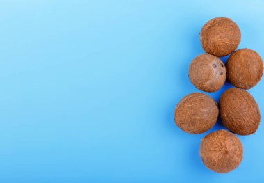 Bir sürü egzotik hindistancevizi parlak mavi bir arka plan üzerinde. Taze cocos, üstten görünüm. Mavi bir arka plan üzerinde sağ tarafta tropikal Hindistan cevizi.