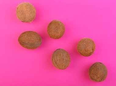 Hawaiian taze hindistan cevizi parlak pembe bir arka plan üzerinde. Altı bütün, büyük, taze, organik ve tropikal meyve Hindistan cevizleri. Egzotik Cocos Adaları.