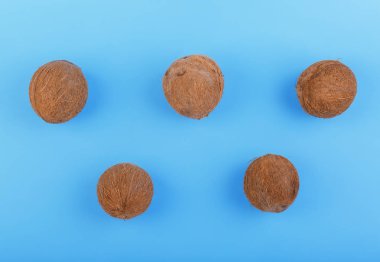 Tropikal ve bütün Hindistan cevizi doymuş mavi arka plan üzerinde. Beş egzotik meyve Hindistan cevizleri. Tatlı Hindistan cevizi. Vitaminler.