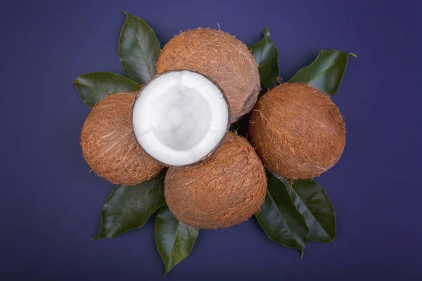 Cocos tropicales con hojas verdes. Nueces ecológicas y nutritivas. Cocos enteros, vista superior. Frutas de verano. Cocos frescos con hojas, primer plano . —  Fotos de Stock