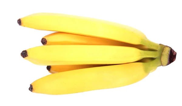 Pobočka zářivě žlutých tropické banánů, izolované na bílém pozadí. Čerstvé banány. Tropické ovoce. Banány brunch. — Stock fotografie