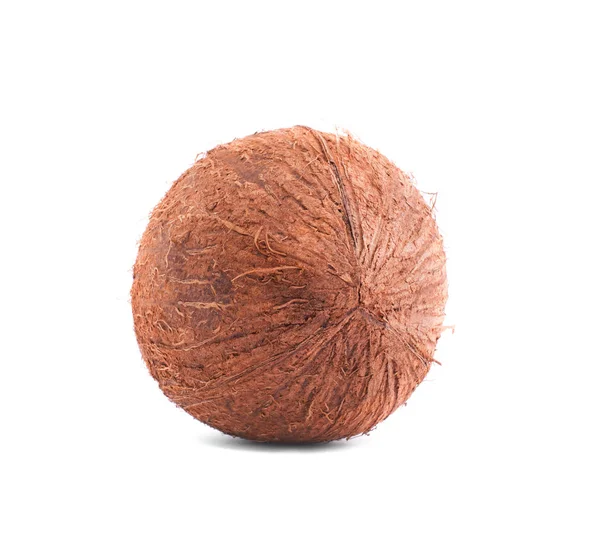 Um coco redondo isolado sobre um fundo branco. Uma vista de um coco inteiro por trás. Nozes tropicais exóticas. Bebidas de verão . — Fotografia de Stock