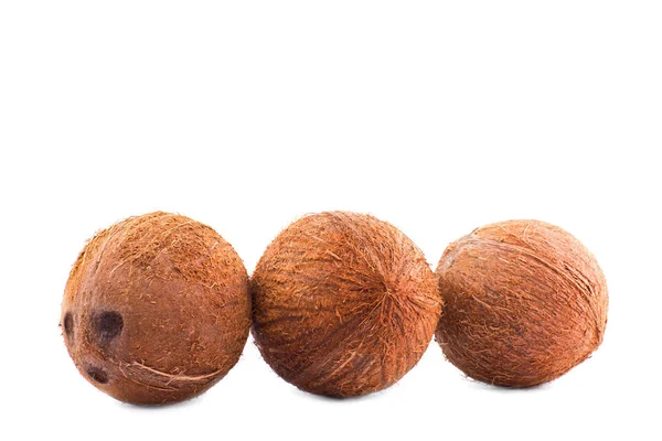光沢のある背景に分離されたココナッツのグループ。クリッピング パスとココナッツ。上品なココはビタミンが豊富。栄養価の高いナッツ. — ストック写真