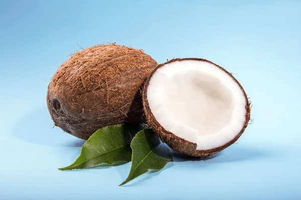 Cocos havaianos. Cocos de frutas naturais. Castanho natural tropical e fresco coco de frutas em um fundo azul brilhante. Recompensas . — Fotografia de Stock