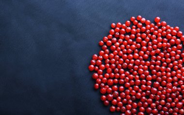 Koyu mavi kumaş üzerinde parlak kırmızı ve taze Frenk üzümü makro fotoğraf. Olgun ve sulu Frenk üzümü karanlık bir arka plan üzerinde. Tatlı yaz meyveleri.