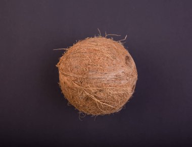 Bir tropikal kahverengi bütün Hindistan cevizi koyu mor arka plan üzerinde. Taze somun close-up. Lezzetli sağlıklı kesim coco. Vitaminler.