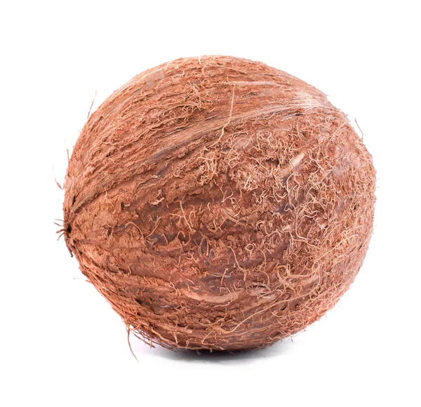 Close-up coco marrom duro isolado em um fundo branco. Um coco inteiro. Nozes exóticas. Ingredientes para batidos . — Fotografia de Stock