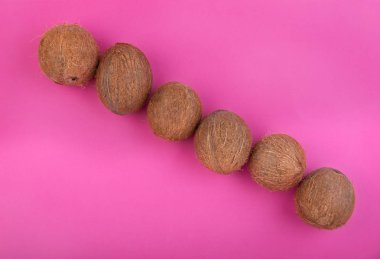 Sulu, taze hawaiian Hindistan cevizi parlak pembe bir arka plan üzerinde. Altı bütün, büyük, taze, organik ve tropikal meyve Hindistan cevizleri. Sağlıklı ve doğal kavramı.