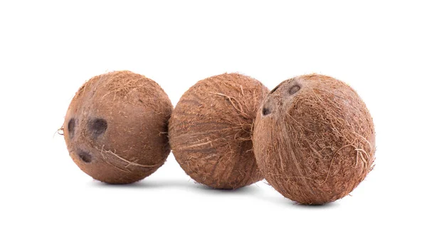 Detailní obrázek tři celé, svěží a hnědé kokosy, izolované na bílém pozadí. Krásné zralé a šťavnaté exotické ořechy. Hawaiian kokosové ořechy. — Stock fotografie
