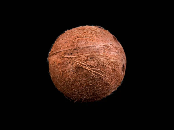 Draufsicht auf eine tropische und ganze Kokosnuss auf schwarzem Hintergrund. Nahaufnahme von frischer Nuss. leckerer und gesunder Kokos voller Vitamine. — Stockfoto