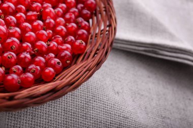 Kahverengi bir sepet içinde kırmızı kuş üzümü close-up. Hafif kahverengi sandık kumaş kırmızı kuş üzümü ile gri bir parçası üzerinde. Sağlıklı kahvaltı için lezzetli Frenk üzümü.