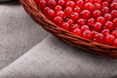 Gri bir arka plan üzerinde hafif kahverengi sepet içinde kırmızı kuş üzümü. Meyveler vitamin dolu. Lezzetli organik kırmızı kuş üzümü. Besleyici gıdalar diyet için.   