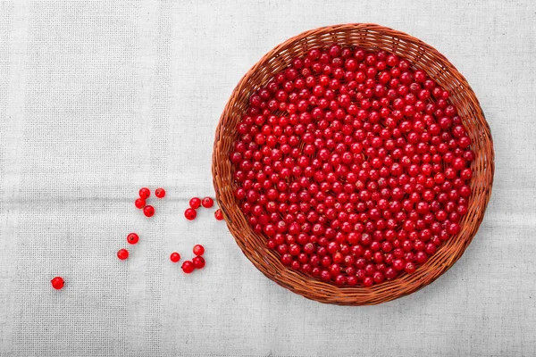 Close-up red currant in a basket on a grey background. Tasty bright red berries in a fresh basket. Juicy colourful currant.