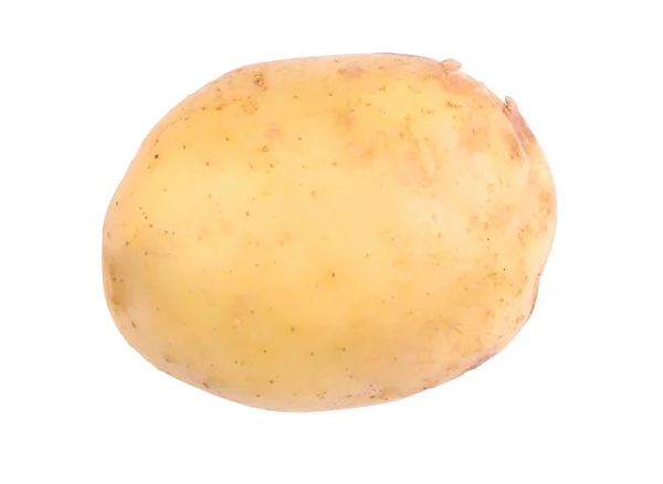 Крупный план здоровой, зрелой и сырой молодой картошки, изолированной на белом фоне. Летний сбор овощей. Одноместный новый картофель . — стоковое фото
