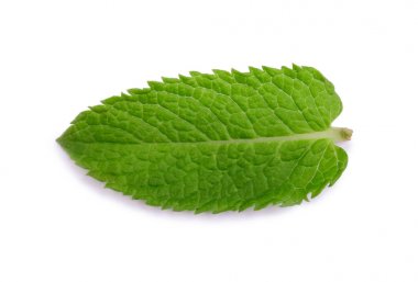 Nane, nane. Tıbbi bitki. Bir close-up tatlı ve taze yaprak nane. Parlak yeşil nane yaprakları.