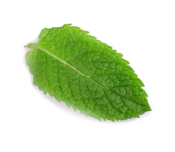 Pepermunt, Kruizemunt. Medicinale plant. Een close-up van een zoet en fris blad van munt. Helder groene muntblaadjes. — Stockfoto